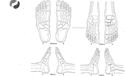 Formation en réflexologie à Paris