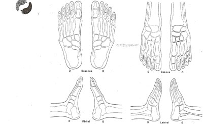 Formation en réflexologie à Paris